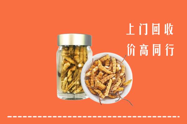 大理州剑川回收冬虫夏草